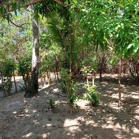 Cabana Playa Cambiaso Bed and Breakfast Puerto Plata Eksteriør billede